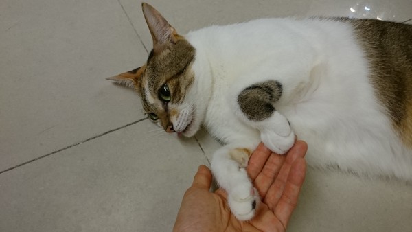 伤感的歌曲越多越好。轻快的歌听不习惯