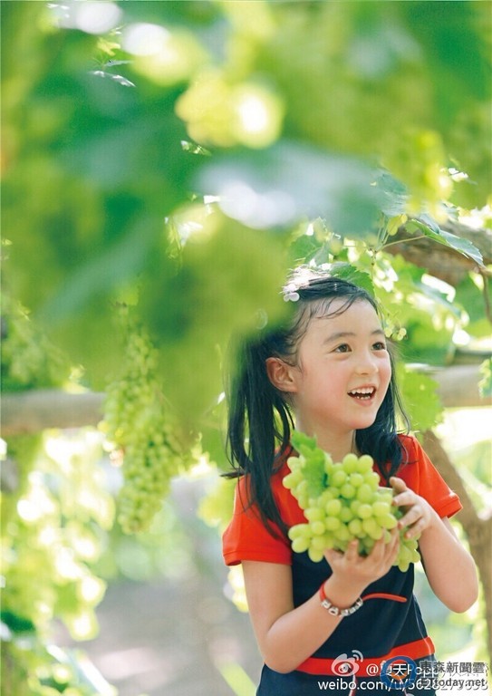 ▼夏天无论是外型还是性格都受人喜爱.(图/翻摄自夏天微博)