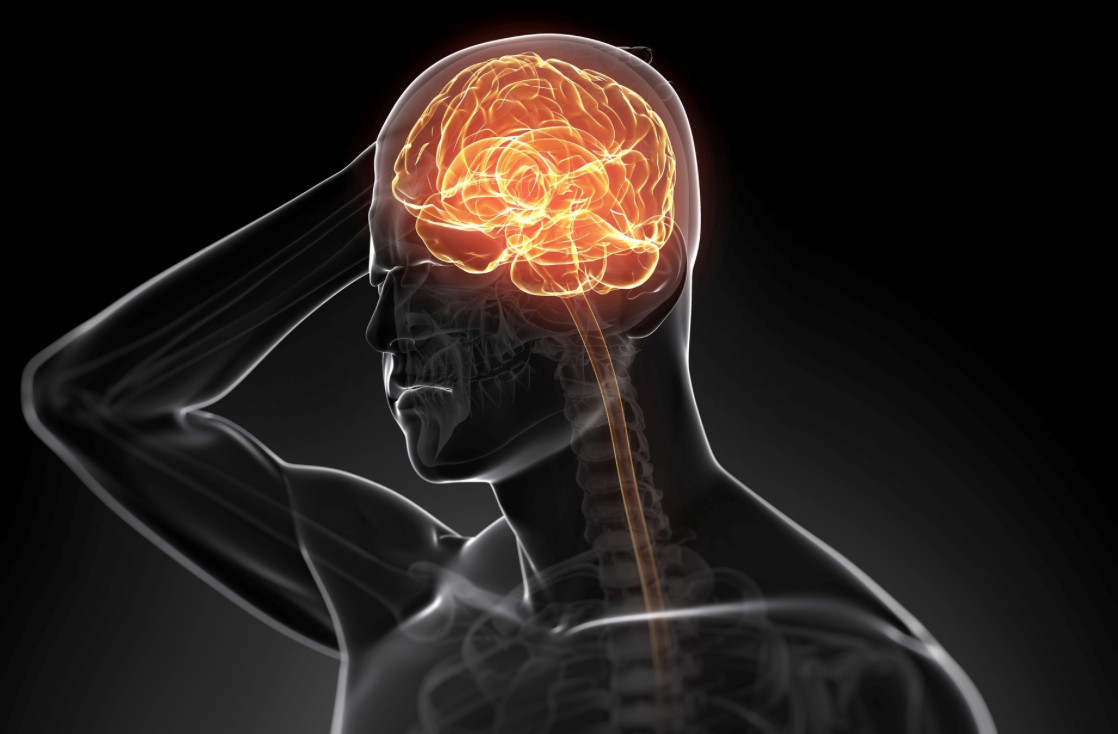 太依赖导航以致回不了家 专家:大脑退化没方向感 | 88论坛