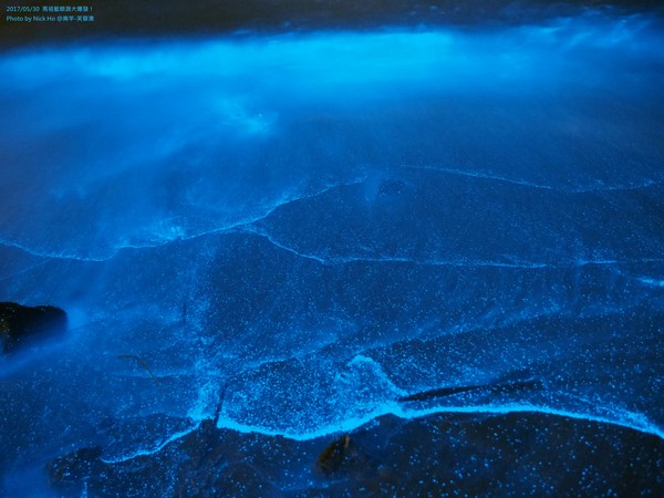 把握蓝眼泪爆发季 马祖南竿「芙蓉澳」犹如蓝宝石星海