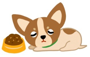 嗜睡、不想吃饭　狗狗「忧郁症」5大征兆...你发现了吗？