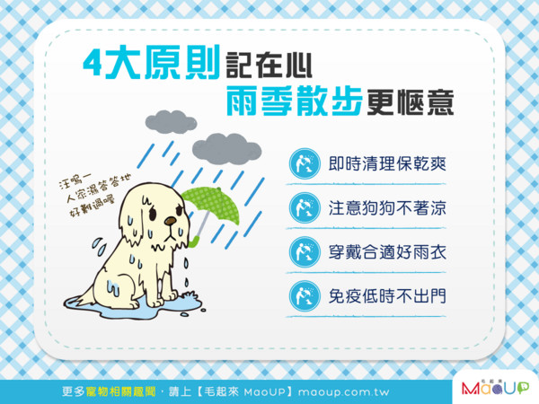 下雨天狗狗想出去？　「雨季散步」4大原则...记得穿雨衣