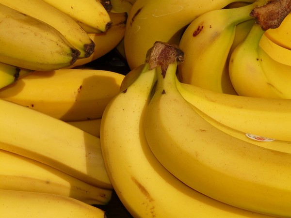 ▲香蕉。（圖／取自pixabay）