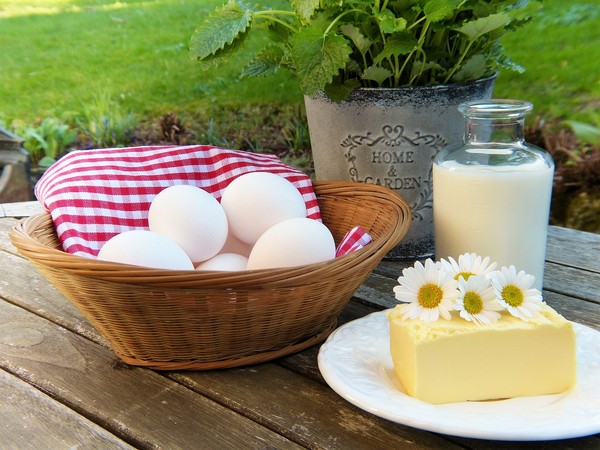 ▲鈣質,牛奶,雞蛋,起士,營養,乳酪,野餐。（圖／)翻攝自pixabay）