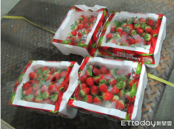 ▲邊境查驗韓國草莓農藥超標。（圖／食藥署提供）
