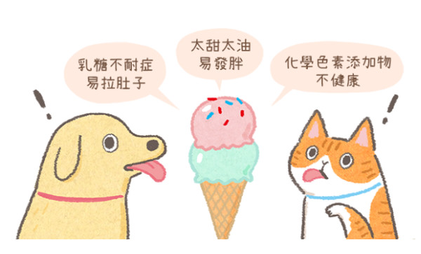 热翻天...猫狗可吃冰淇淋吗？　「3大后果」千万别乱喂！