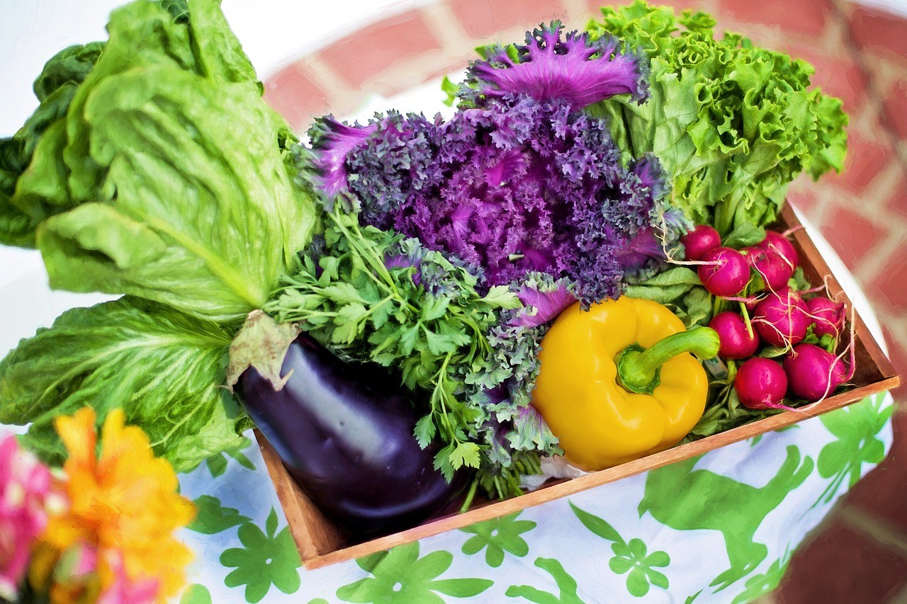 ▲五顏六色的蔬菜富含大量的花青素。（圖／翻攝自pixabay）