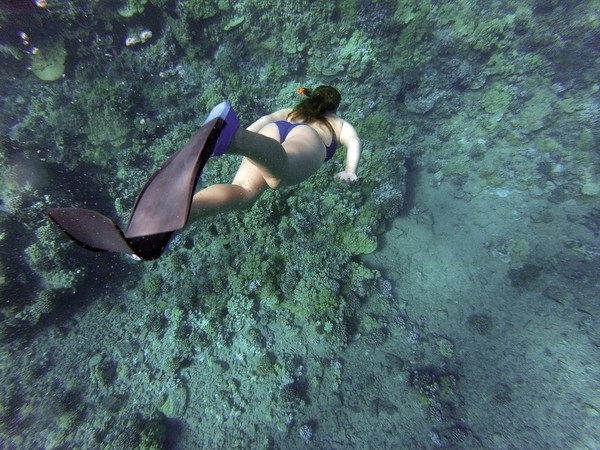 ▲游泳,自由潛水,潛水,女生,海邊。（圖／取自免費圖庫Pixabay）