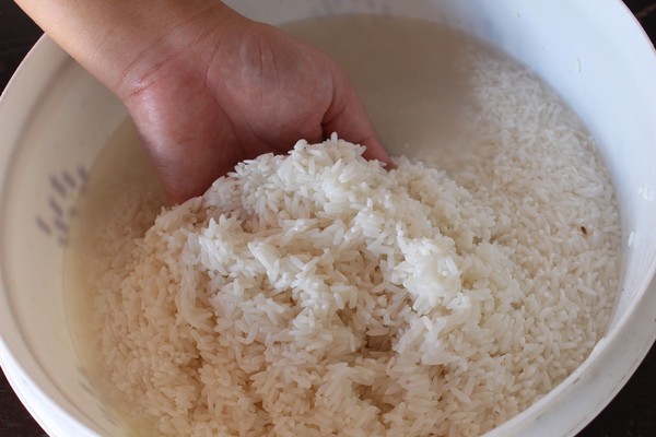 ▲▼煮米,煮飯,米,洗米,米飯。（圖／翻攝自pixabay）