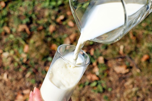 ▲鮮奶。（圖／取自免費圖庫pixabay））