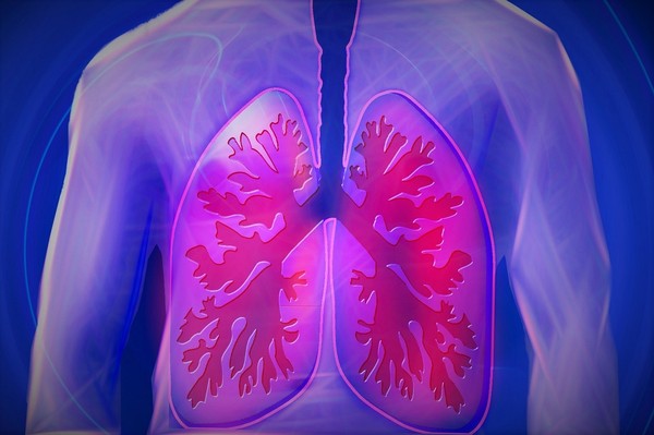 ▲肺,肺癌。（圖／取自免費圖庫pixabay）