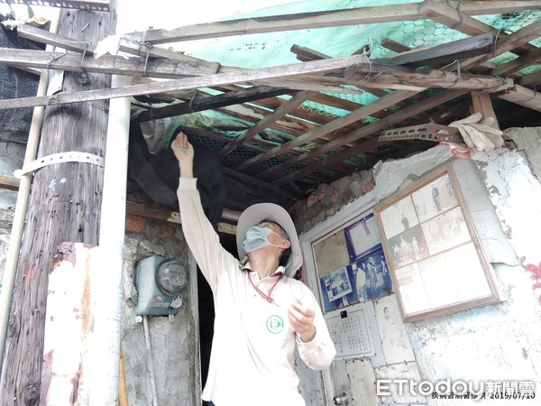 ▲疾管署防疫人員持續於台南市中西區開山里加強孳生源查核。（圖／疾管署提供）