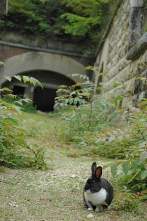 人类任意舍弃的废墟,由大自然回收. | 键盘大柠