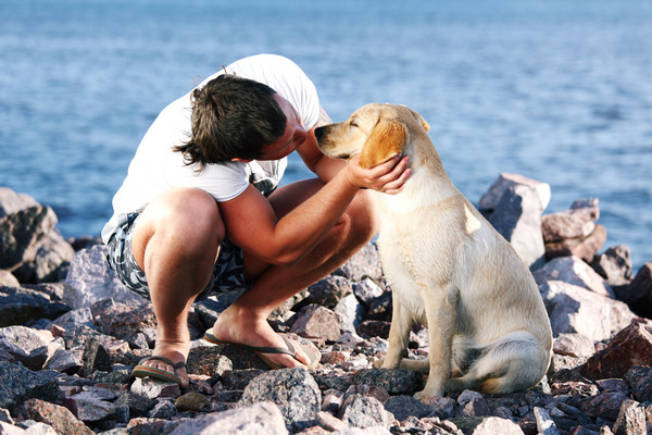 看爱犬萌照狂傻笑！　「10件幸福事」只有养狗的人才懂