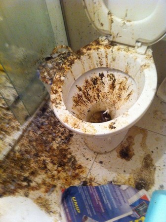 忘记关窗三个月,打开浴室.屎味扑鼻