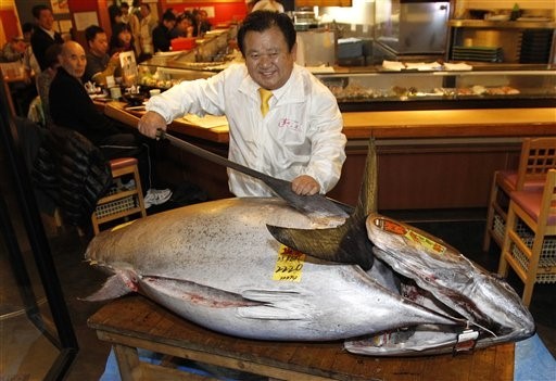 日本築地市場新春開市，這條黑鮪魚以新台幣5千萬的天價標出。(圖／達志影像／美聯社)