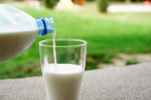 不喝牛奶的孩子比喝牛奶的同齡小孩，平均矮了1.5公分！