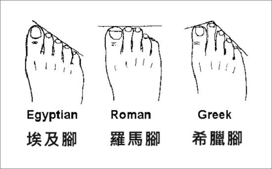 ▲三種腳型示意圖。（圖／Bonjour女鞋提供）