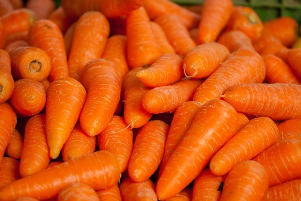 ▲紅蘿蔔示意圖。（圖／翻攝自Pixabay）