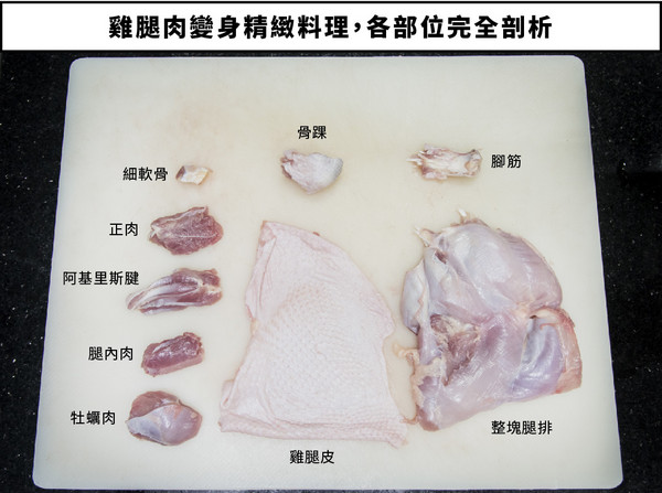 鸡腿的关节构造图图片