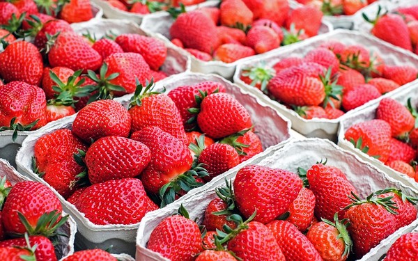 ▲莓。（圖／翻攝自Pixabay）