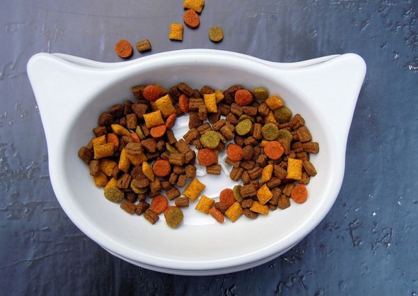 网友捐1包饲料遭嫌「太少」拒收 狗园无奈:那是开玩笑