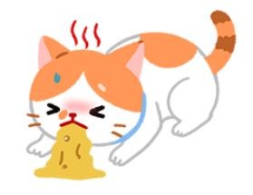 【汪喵疾病飲食】貓咪不吃不喝 小心脂肪肝（圖／毛起來 MaoUp）