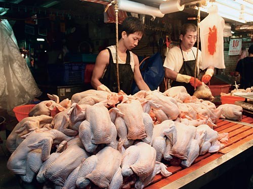 康健雜誌／譚敦慈：傳統市場買雞肉安全嗎？