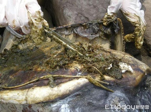 ▲清出38.2公噸垃圾！每年釀海龜枉死，「請停止一次性塑膠製品」（圖／網友陳信助提供，請勿隨意翻拍，以免侵權。）