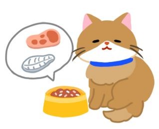 【高齡汪喵飲食】貓咪老了牙口不好？4 種飲食方式讓老貓健康吃！（圖／毛起來 MaoUp）