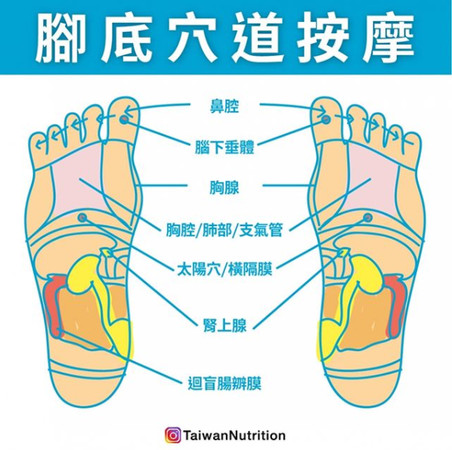 ▲腳底按摩。（圖／《Taiwan Nutrition台灣營養》授權提供）