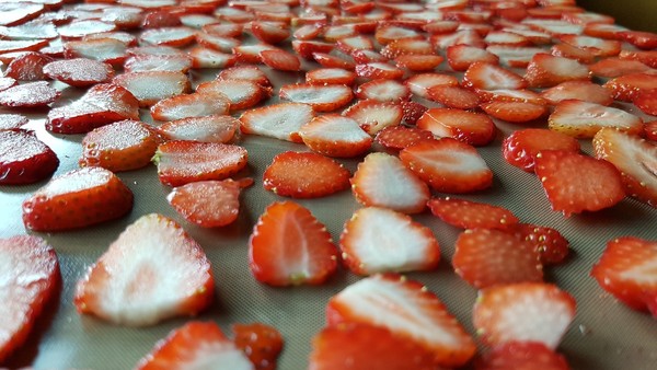 ▲水果乾,草莓,蜜餞,烘乾,水果片。（圖／翻攝自pixabay）