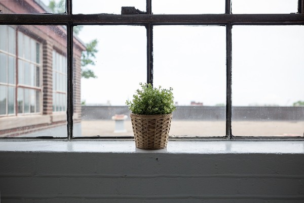 ▲窗戶,植物,盆栽,玻璃,窗台。（圖／翻攝自pixabay）