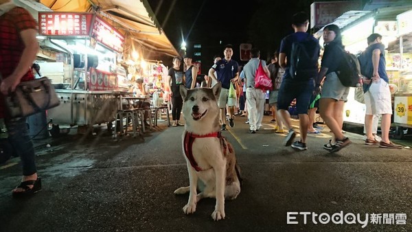 狗狗帮帮队 d3419246.jpg