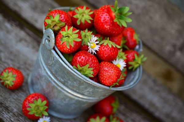 ▲草莓。（圖／取自免費圖庫Pixabay）