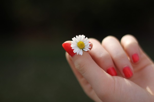▲指甲,指甲油,手指,女生,花,手。（圖／取自免費圖庫Pixabay）