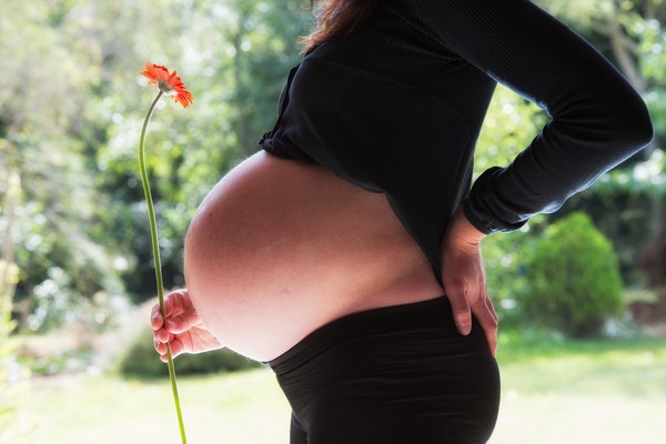 ▲孕婦 。（圖／取自免費圖pixabay）