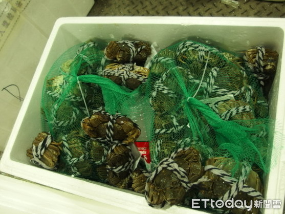 ▲▼宜蘭衛生局將2批檢驗不合格的5千607公斤戴奧辛大閘蟹，現場全數封存。（圖／記者游芳男翻攝，下同）