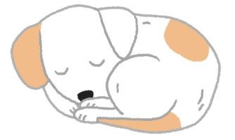 ▲從狗狗的3種睡姿看個性。（圖／毛起來提供）