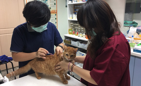 â²é£¼ä¸»æçºæ¯å¯¶è²å¥åº·æéãï¼ç¤ºæåï¼æ°åå¸åä¿èæä¾ï¼