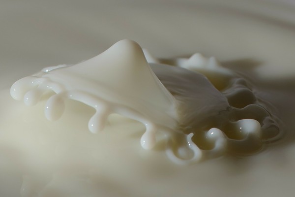 ▲▼牛奶,鮮奶,豆漿,高蛋白,乳清,蛋白粉。（圖／翻攝自pixabay）