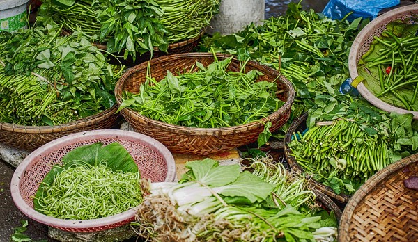▲▼蔬菜,施肥,土壤,洋蔥,青菜,地瓜葉。（圖／翻攝自pixabay）