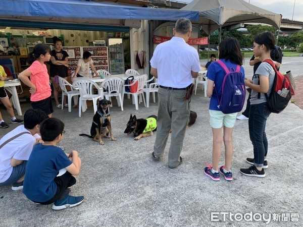 ▲陪伴犬協會舉辦免費訓犬與認養活動。（圖／台北市陪伴犬協會提供）