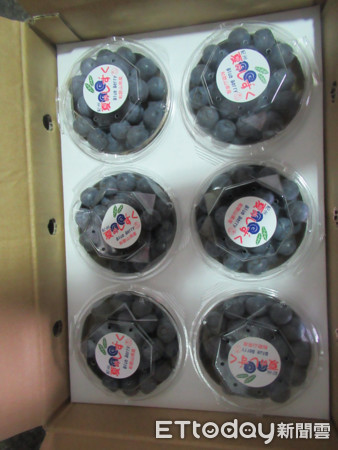 ▲好市多進口藍莓驗出「不得檢出農藥」　2891公斤退運銷毀 。（圖／取自食藥署網站）