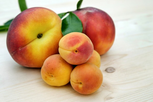 ▲▼水蜜桃,桃子,水果。（圖／翻攝自pixabay）