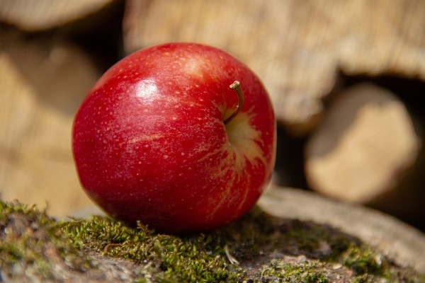 蘋果。（圖／Pixabay）