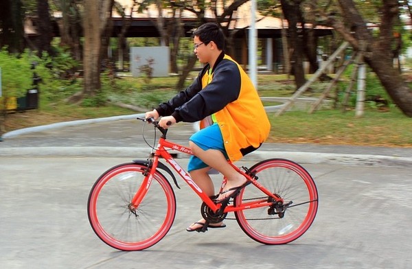 ▲▼腳踏車,孩子,騎車,單車。（圖／翻攝自pixabay）