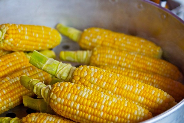 玉米。（圖／Pixabay）