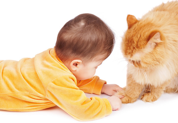 小孩與狗貓。（圖／達志影像）